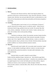 Septintoko mokinio charakteristika 7 puslapis