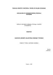 Rinkos vystymo galimybės: statybų griovimo darbai "Vaidva"
