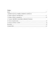 Rinkos vystymo galimybės: statybų griovimo darbai "Vaidva" 2 puslapis