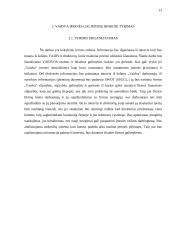 Rinkos vystymo galimybės: statybų griovimo darbai "Vaidva" 13 puslapis