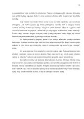 Rinkos vystymo galimybės: statybų griovimo darbai "Vaidva" 16 puslapis