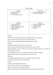 Rinkos vystymo galimybės: statybų griovimo darbai "Vaidva" 17 puslapis