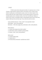 Rinkos vystymo galimybės: statybų griovimo darbai "Vaidva" 3 puslapis