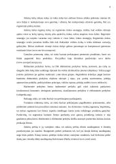 Rinkos vystymo galimybės: statybų griovimo darbai "Vaidva" 9 puslapis