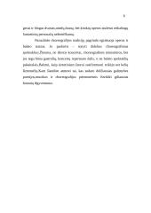 Baletas. Baleto kelias 5 puslapis