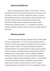 Baltymai mūsų organizme 4 puslapis