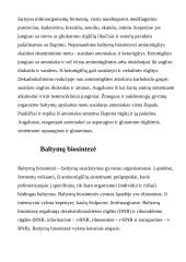 Baltymai mūsų organizme 5 puslapis
