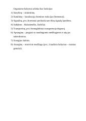 Baltymai mūsų organizme 7 puslapis