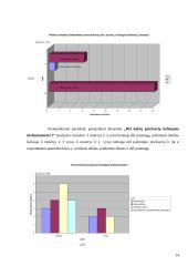 Tyrimas: studentų kelionės 14 puslapis