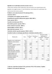 Mokesčių ir pelno skaičiavimas 4 puslapis