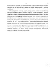 Esminiai bendrieji apskaitos principai 12 puslapis