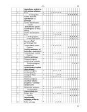 Esminiai bendrieji apskaitos principai 16 puslapis