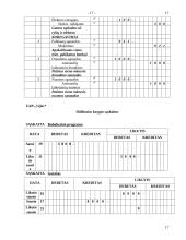 Esminiai bendrieji apskaitos principai 17 puslapis