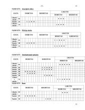 Esminiai bendrieji apskaitos principai 19 puslapis