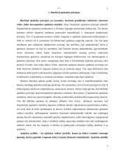 Esminiai bendrieji apskaitos principai 3 puslapis