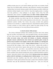 Esminiai bendrieji apskaitos principai 5 puslapis