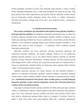 Esminiai bendrieji apskaitos principai 7 puslapis