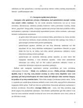 Esminiai bendrieji apskaitos principai 8 puslapis