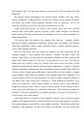 Psichologinė savirefleksija po pedagogo specialiosios praktikos 2 puslapis