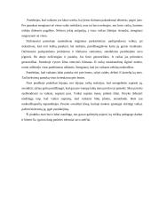 Psichologinė savirefleksija po pedagogo specialiosios praktikos 4 puslapis