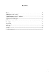 Bendrinė kalba. Jos padėtis šiuolaikinėje visuomenėje 2 puslapis