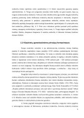 Bendroji mokesčių raida 6 puslapis