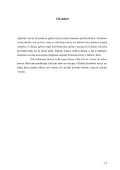 Renesanso kultūros charakteristika 13 puslapis