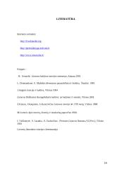 Renesanso kultūros charakteristika 14 puslapis