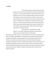 Bendrųjų teisės principų samprata 2 puslapis