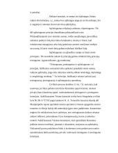 Bendrųjų teisės principų samprata 11 puslapis