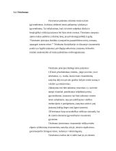 Bendrųjų teisės principų samprata 12 puslapis