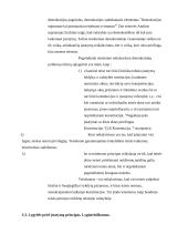 Bendrųjų teisės principų samprata 13 puslapis