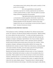 Bendrųjų teisės principų samprata 16 puslapis