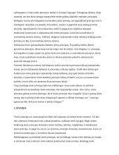 Bendrųjų teisės principų samprata 17 puslapis