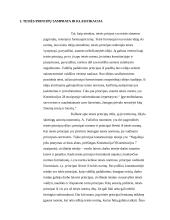 Bendrųjų teisės principų samprata 3 puslapis