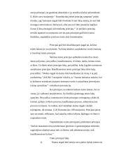 Bendrųjų teisės principų samprata 4 puslapis