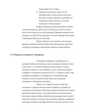 Bendrųjų teisės principų samprata 7 puslapis