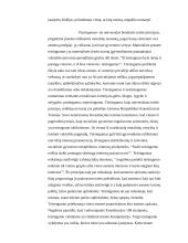 Bendrųjų teisės principų samprata 8 puslapis