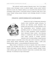 Biuro sistemų technologijų analizė 11 puslapis