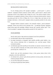 Biuro sistemų technologijų analizė 18 puslapis