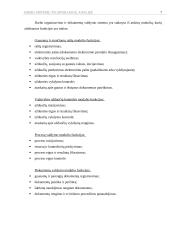 Biuro sistemų technologijų analizė 7 puslapis