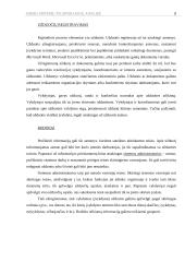 Biuro sistemų technologijų analizė 8 puslapis