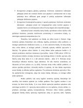 Mokesčių apskaita, koreguojantys įrašai bei buhalteriniai įrašai 11 puslapis