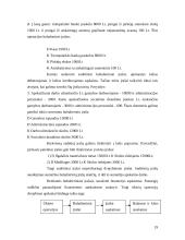 Mokesčių apskaita, koreguojantys įrašai bei buhalteriniai įrašai 19 puslapis