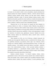 Mokesčių apskaita, koreguojantys įrašai bei buhalteriniai įrašai 4 puslapis