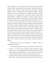 Mokesčių apskaita, koreguojantys įrašai bei buhalteriniai įrašai 5 puslapis