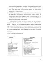 Mokesčių apskaita, koreguojantys įrašai bei buhalteriniai įrašai 6 puslapis