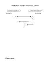 Buhalterinės apskaitos ciklo baigimas 9 puslapis