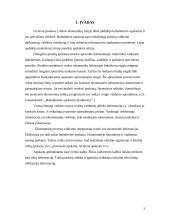 Buhalterinės apskaitos įstatymai 2 puslapis