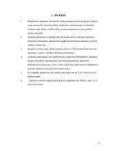 Buhalterinės apskaitos įstatymai 11 puslapis